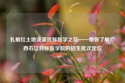 扎根红土地浇灌民族医学之花——带你了解广西右江民族医学院的招生批次定位