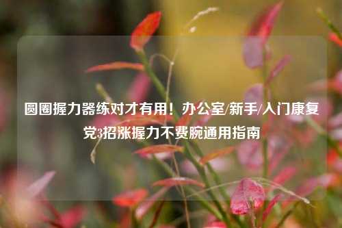 圆圈握力器练对才有用!办公室/新手/入门康复党3招涨握力不费腕通用指南