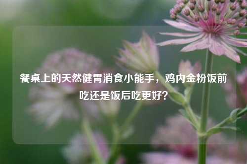 餐桌上的天然健胃消食小能手,鸡内金粉饭前吃还是饭后吃更好?