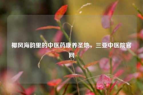 椰风海韵里的中医药康养圣地,三亚中医院官网