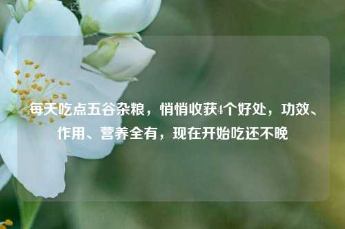 每天吃点五谷杂粮,悄悄收获4个好处,功效、作用、营养全有,现在开始吃还不晚