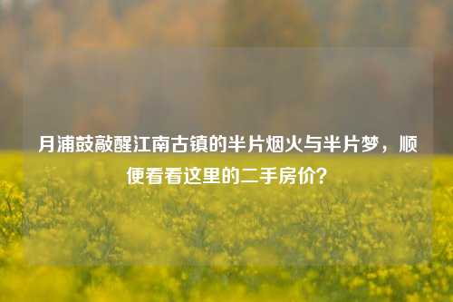 月浦鼓敲醒江南古镇的半片烟火与半片梦，顺便看看这里的二手房价？
