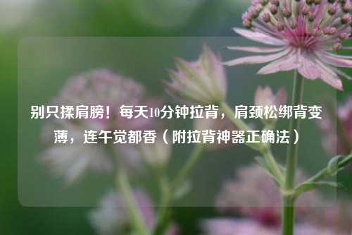 别只揉肩膀!每天10分钟拉背,肩颈松绑背变薄,连午觉都香(附拉背神器正确法)