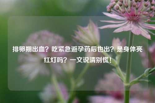 排卵期出血?吃紧急避孕药后也出?是身体亮红灯吗?一文说清别慌!