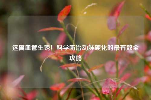 远离血管生锈!科学防治动脉硬化的最有效全攻略