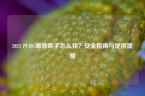 2021 PUBG画质助手怎么找？安全指南与使用提醒