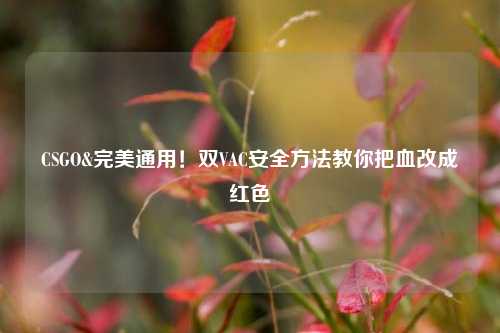 CSGO&完美通用！双VAC安全方法教你把血改成红色