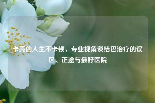 卡壳的人生不卡顿,专业视角谈结巴治疗的误区、正途与最好医院