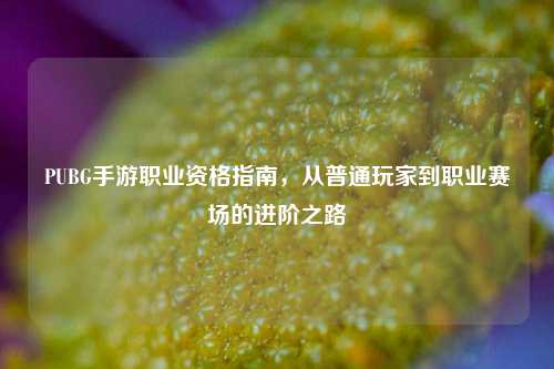 PUBG手游职业资格指南,从普通玩家到职业赛场的进阶之路