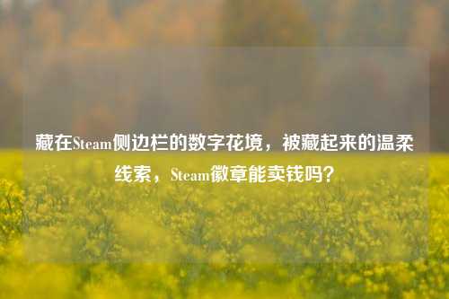 藏在Steam侧边栏的数字花境,被藏起来的温柔线索,Steam徽章能卖钱吗?