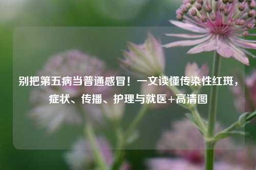 别把第五病当普通感冒!一文读懂传染性红斑,症状、传播、护理与就医+高清图