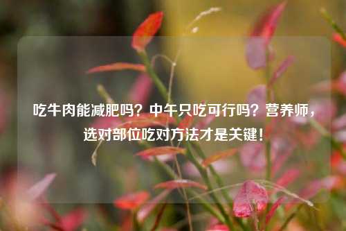 吃牛肉能减肥吗?中午只吃可行吗?营养师,选对部位吃对方法才是关键!