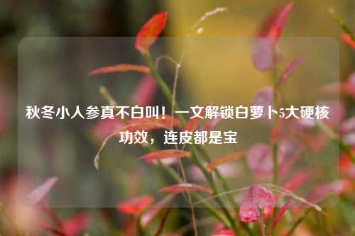 秋冬小人参真不白叫!一文解锁白萝卜5大硬核功效,连皮都是宝