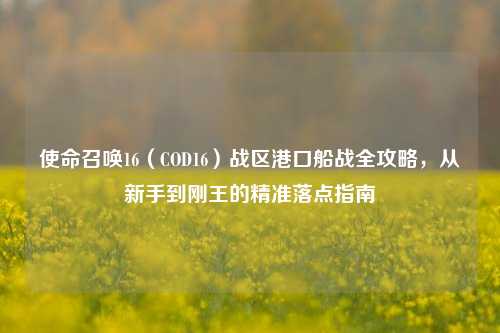 使命召唤16(COD16)战区港口船战全攻略,从新手到刚王的精准落点指南