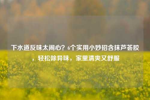 下水道反味太闹心?6个实用小妙招含抹芦荟胶,轻松除异味,家里清爽又舒服