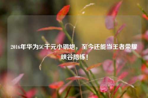 2016年华为5C千元小钢炮,至今还能当王者荣耀峡谷陪练!