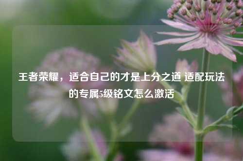 王者荣耀，适合自己的才是上分之道 适配玩法的专属5级铭文怎么激活