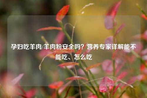 孕妇吃羊肉/羊肉粉安全吗？营养专家详解能不能吃、怎么吃