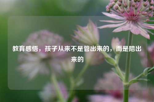 教育感悟,孩子从来不是管出来的,而是陪出来的