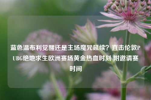 蓝色温布利觉醒还是主场魔咒延续？直击伦敦PUBG绝地求生欧洲赛场黄金热血时刻 附邀请赛时间