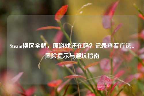 Steam换区全解,原游戏还在吗?记录查看方法、风险提示与避坑指南
