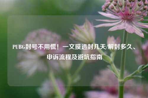 PUBG封号不用慌!一文摸透封几天/解封多久、申诉流程及避坑指南