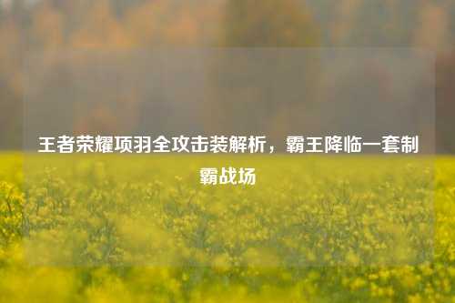王者荣耀项羽全攻击装解析，霸王降临一套制霸战场