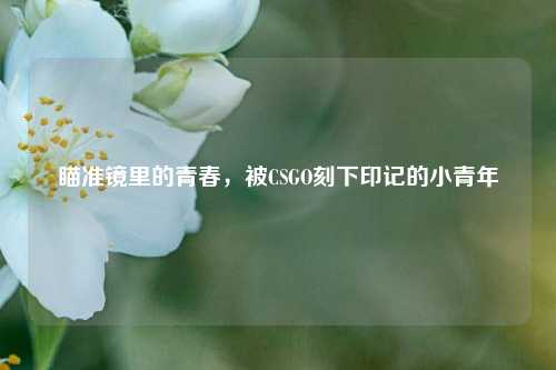 瞄准镜里的青春，被CSGO刻下印记的小青年