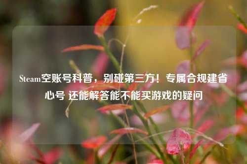 Steam空账号科普,别碰第三方!专属合规建省心号 还能解答能不能买游戏的疑问