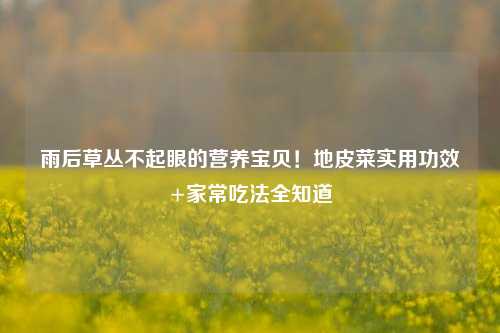 雨后草丛不起眼的营养宝贝！地皮菜实用功效+家常吃法全知道