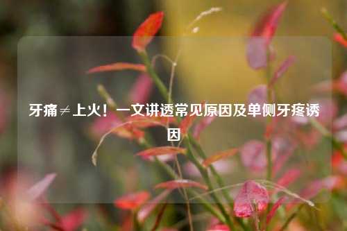 牙痛≠上火!一文讲透常见原因及单侧牙疼诱因