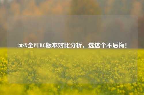 202X全PUBG版本对比分析，选这个不后悔！