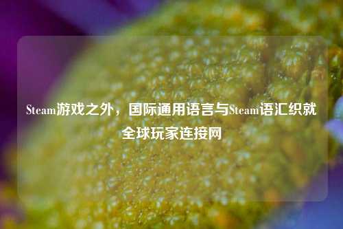 Steam游戏之外，国际通用语言与Steam语汇织就全球玩家连接网