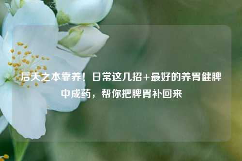 后天之本靠养!日常这几招+最好的养胃健脾中成药,帮你把脾胃补回来