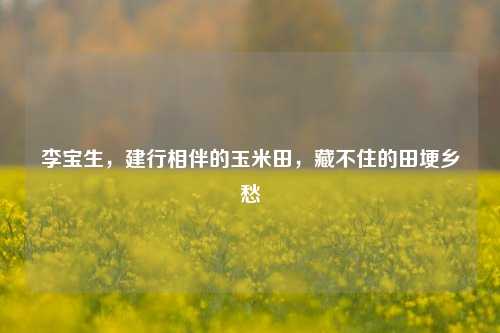 李宝生,建行相伴的玉米田,藏不住的田埂乡愁