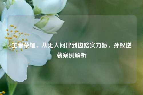 王者荣耀，从无人问津到边路实力派，孙权逆袭案例解析