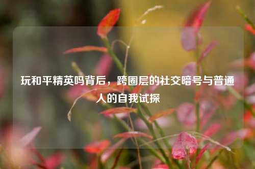 玩和平精英吗背后，跨圈层的社交暗号与普通人的自我试探
