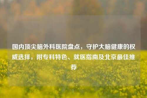 国内顶尖脑外科医院盘点,守护大脑健康的权威选择,附专科特色、就医指南及北京最佳推荐