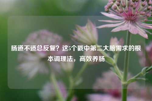 肠道不适总反复？这5个戳中第二大脑需求的根本调理法，高效养肠