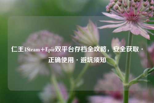 仁王1Steam+Epic双平台存档全攻略，安全获取·正确使用·避坑须知