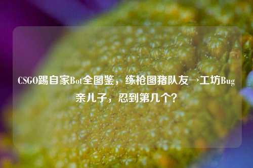 CSGO踢自家Bot全图鉴,练枪图猪队友→工坊Bug亲儿子,忍到第几个?