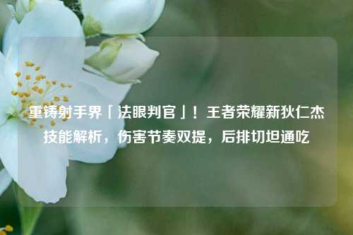 重铸射手界「法眼判官」!王者荣耀新狄仁杰技能解析,伤害节奏双提,后排切坦通吃