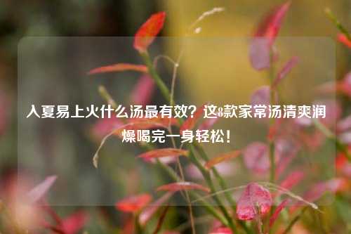 入夏易上火什么汤最有效？这8款家常汤清爽润燥喝完一身轻松！