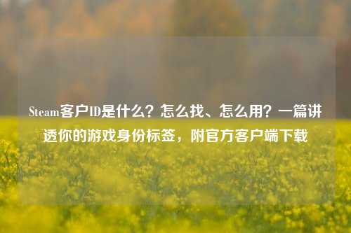 Steam客户ID是什么?怎么找、怎么用?一篇讲透你的游戏身份标签,附官方客户端下载