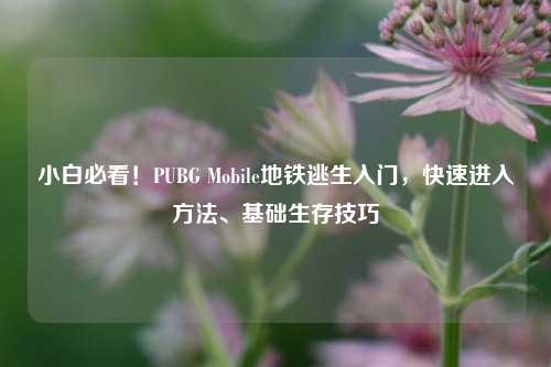 小白必看！PUBG Mobile地铁逃生入门，快速进入方法、基础生存技巧