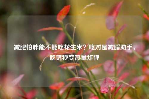 减肥怕胖能不能吃花生米？吃对是减脂助手，吃错秒变热量炸弹