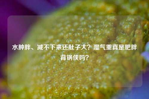水肿胖、减不下来还肚子大？湿气重真是肥胖背锅侠吗？
