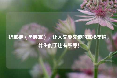 折耳根（鱼腥草），让人又爱又恨的草根美味，养生能手也有禁忌！