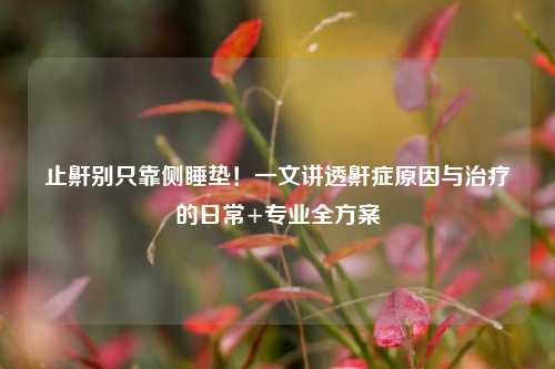止鼾别只靠侧睡垫！一文讲透鼾症原因与治疗的日常+专业全方案