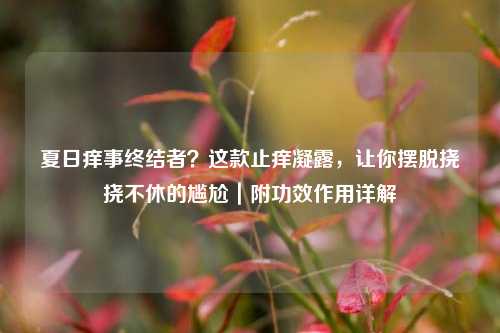 夏日痒事终结者?这款止痒凝露,让你摆脱挠挠不休的尴尬|附功效作用详解